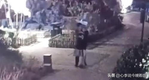 老街最新爆料视频播放,揭秘视频中的历史角落与生活变迁  第3张